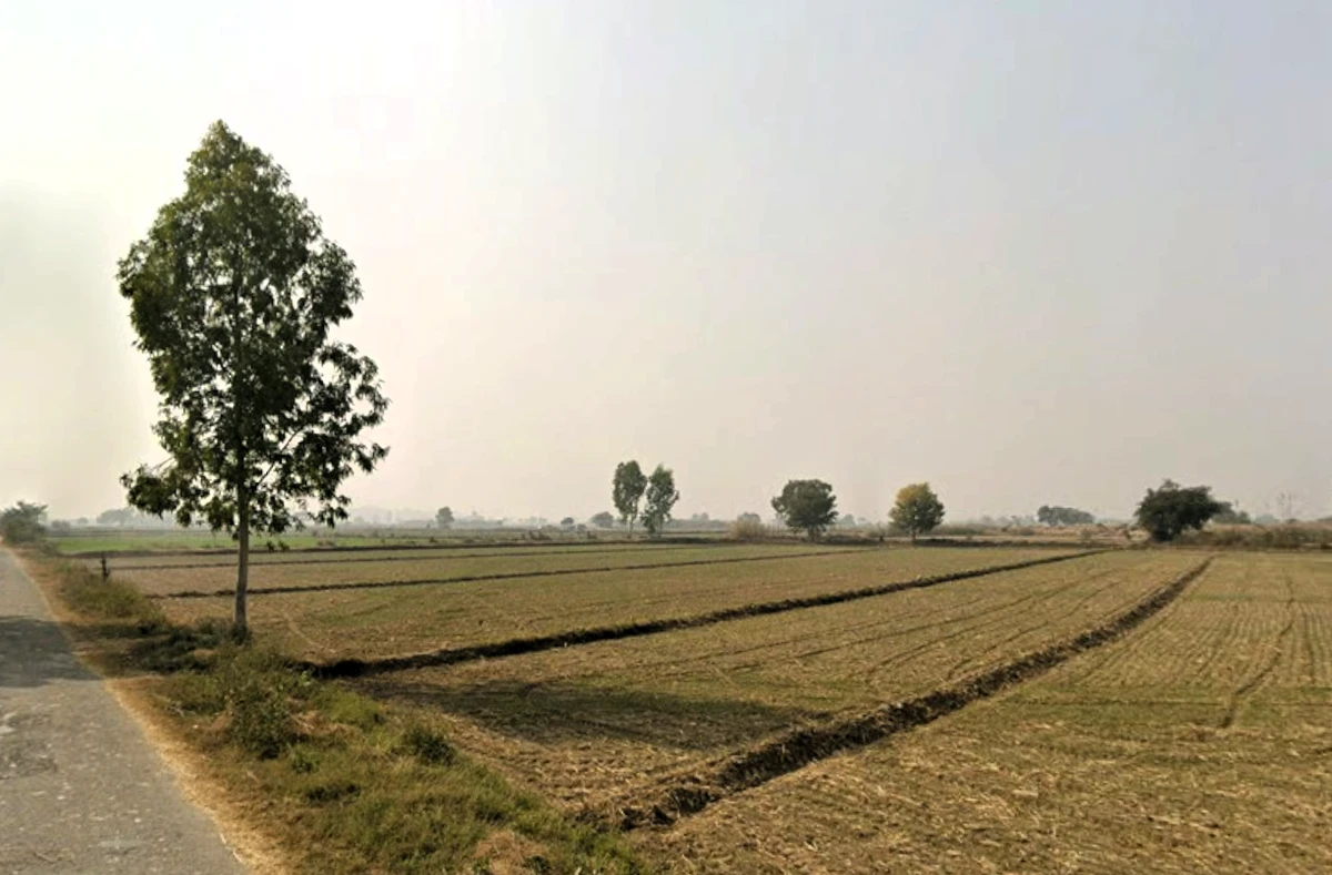 W8HH+6H9, Balamba, Mahamrural, Haryana 124112, India