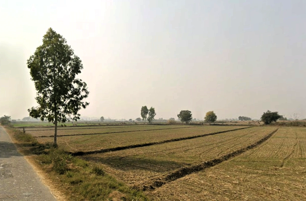 W8HH+6H9, Balamba, Mahamrural, Haryana 124112, India