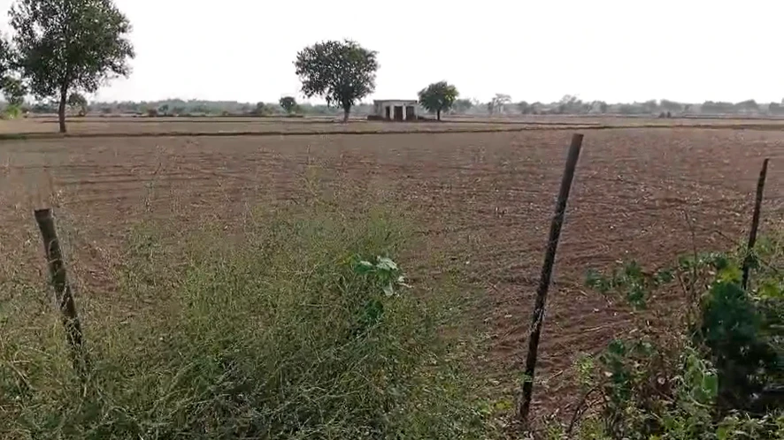 Q5XH+294, Bhiwani, Ninan, Haryana 127309, India