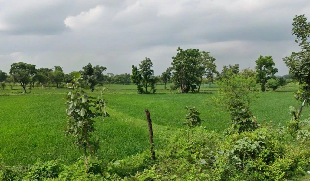 2JMQ+5XH, Raipur, Chhattisgarh 493661, India