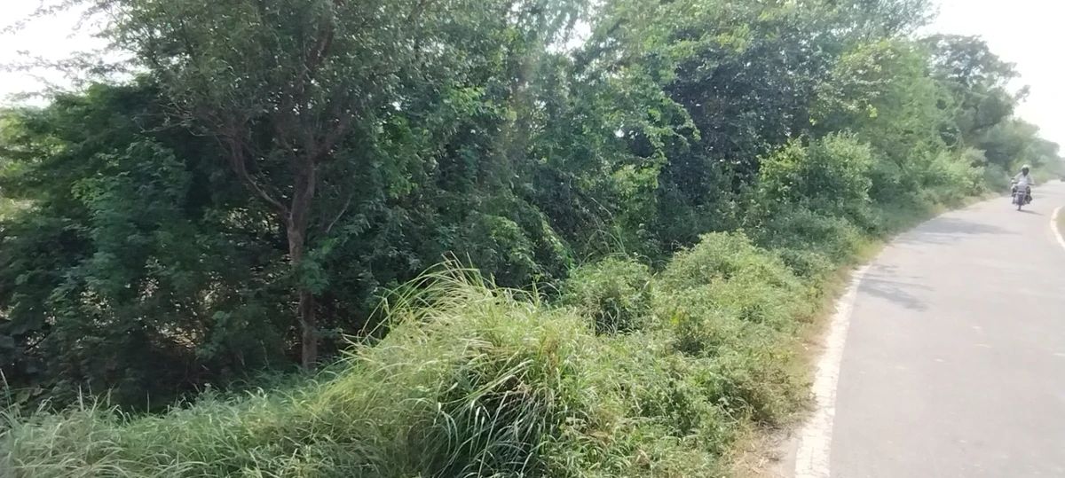 Nagla Chahar, Rajasthan 321203, India
