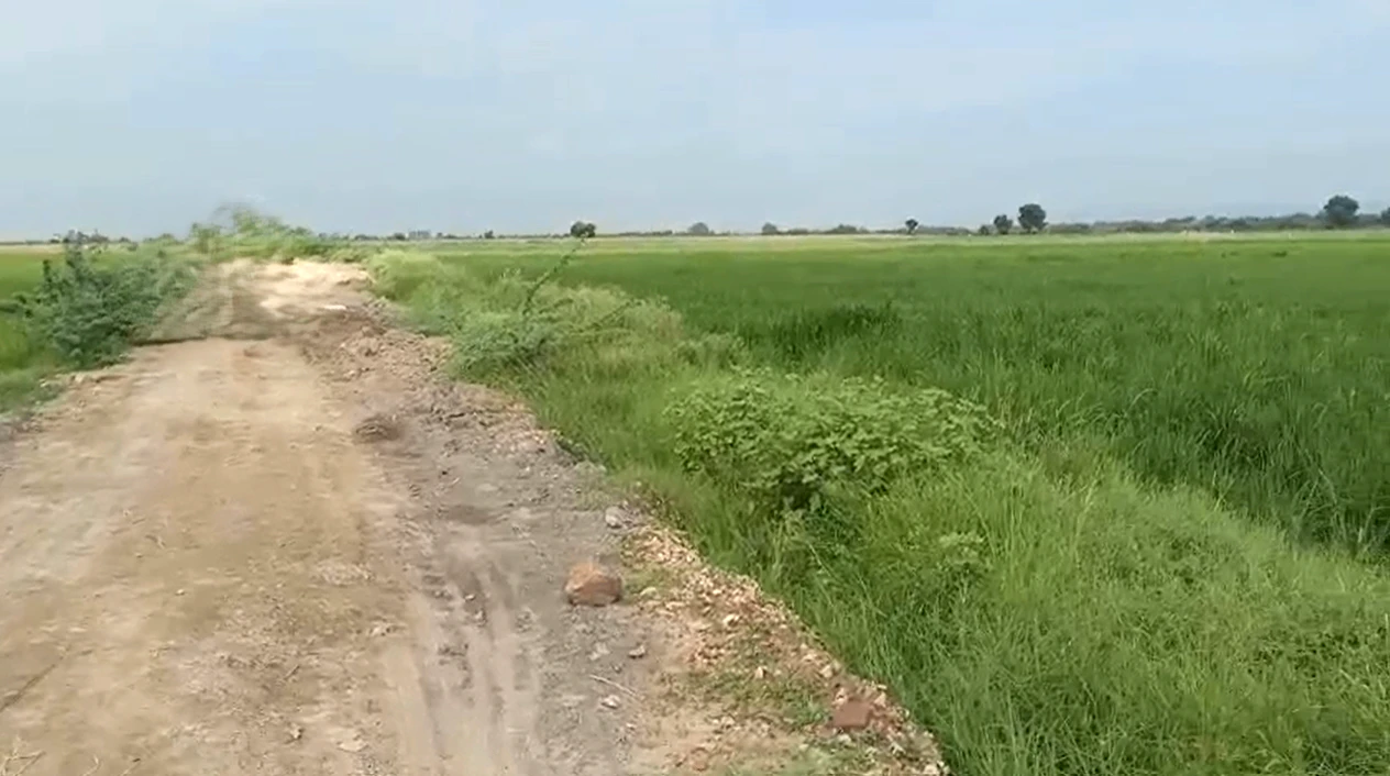 85CX+J2M, Kota, Notara, Rajasthan 325204, India