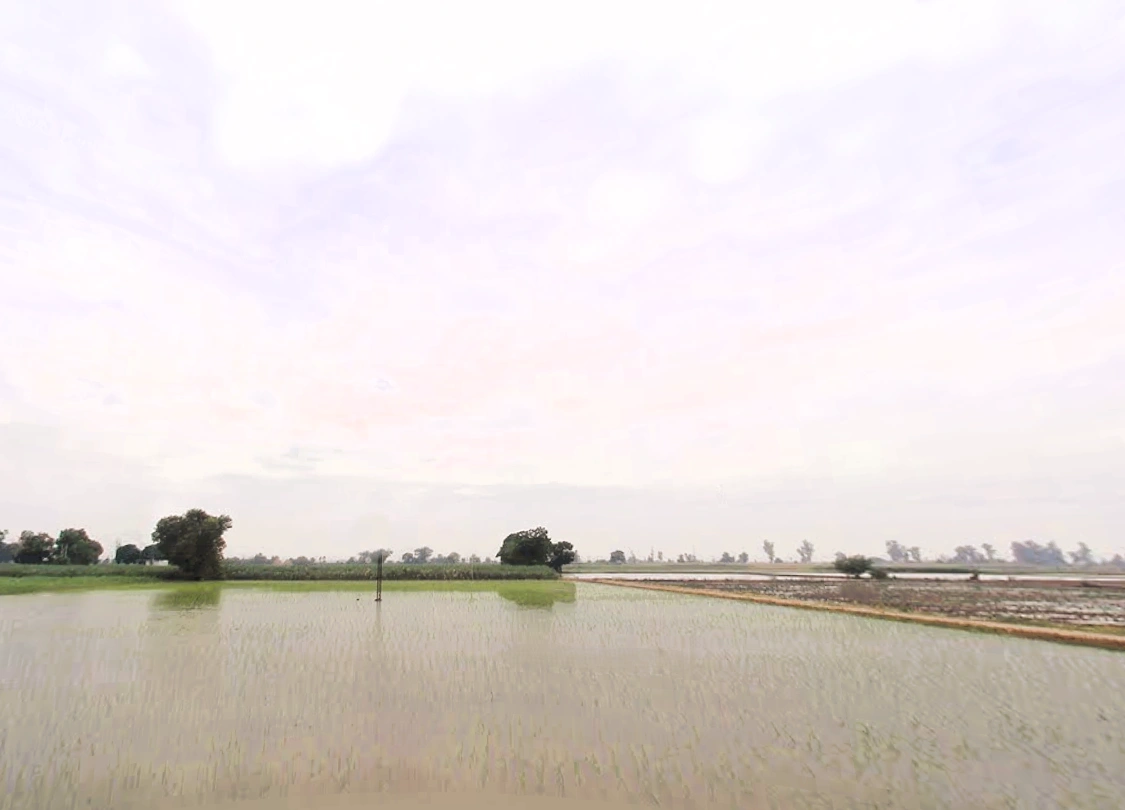 Lukhi, Haryana 136119, India