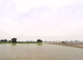 Lukhi, Haryana 136119, India preview 2