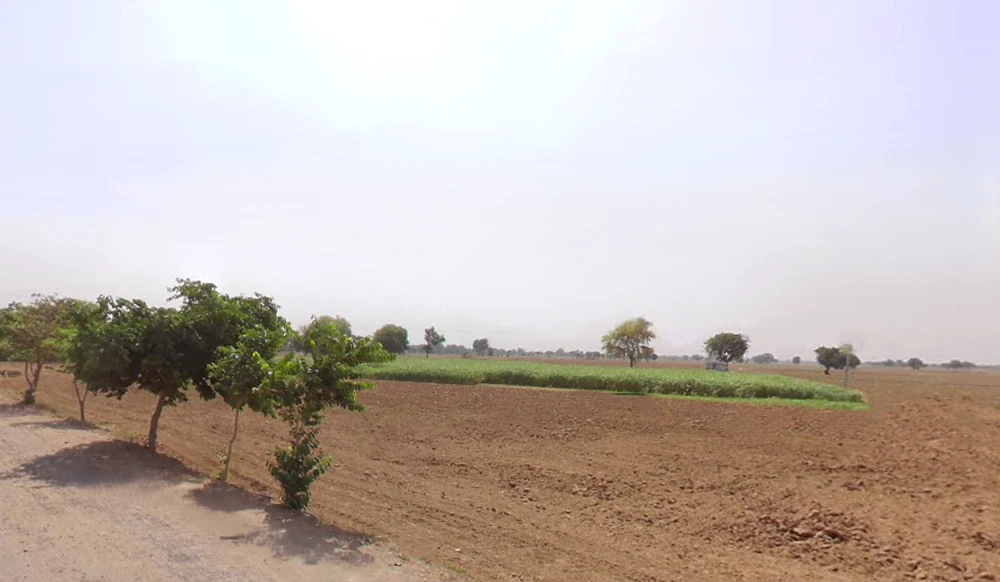 Sanjarpur, Haryana, India