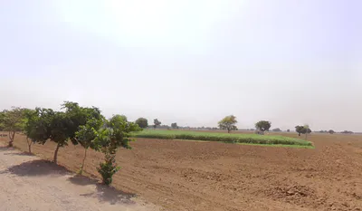 Sanjarpur, Haryana, India preview 2
