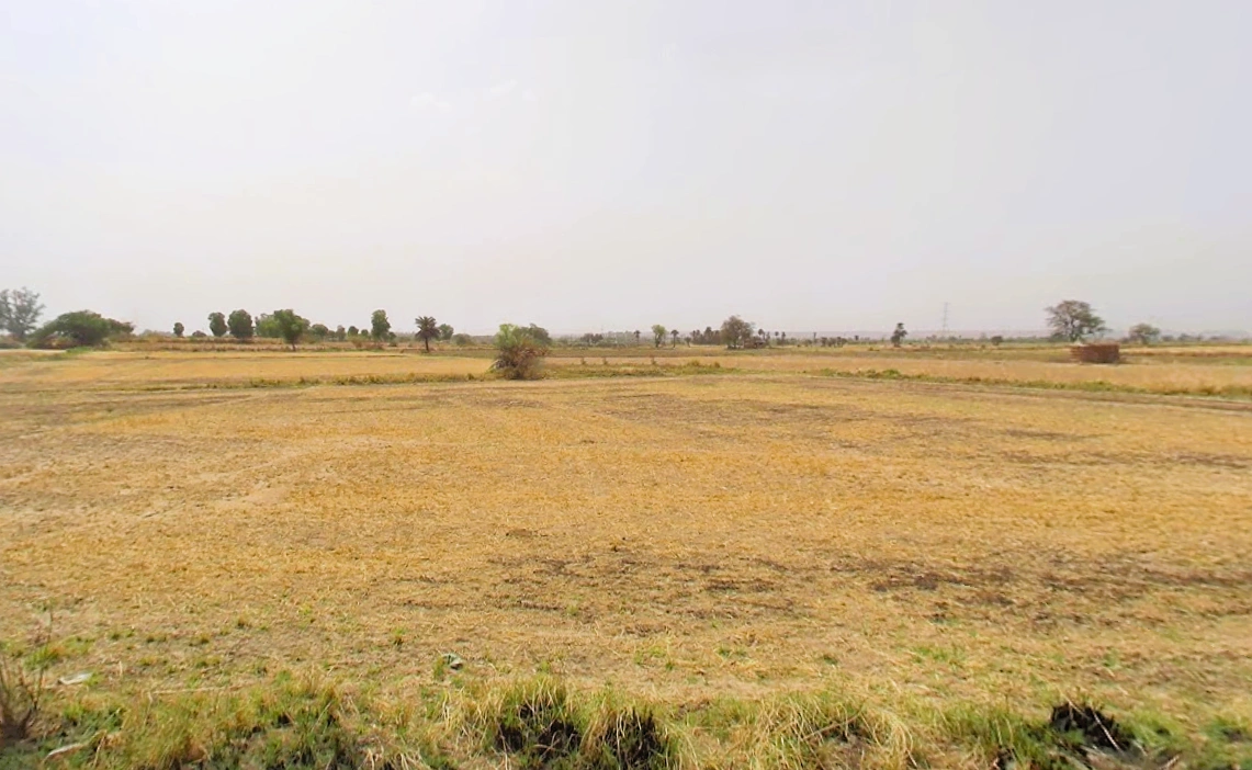 Sohna, Haryana 122103, India