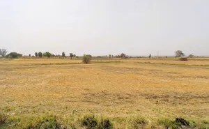 Sohna, Haryana 122103, India preview 3
