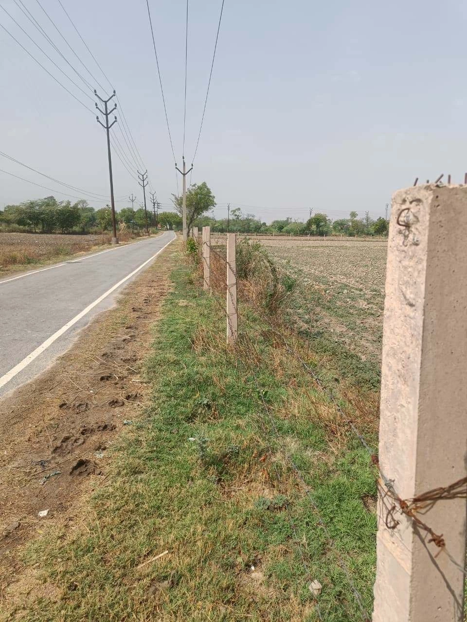 Aou, Rajasthan, India