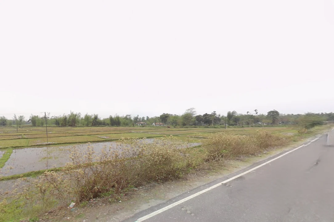QH2P+CFM, Junglee Mohal, West Bengal 735234, India