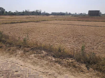 R5PP+HP Manjha Kala, Uttar Pradesh, India preview 2