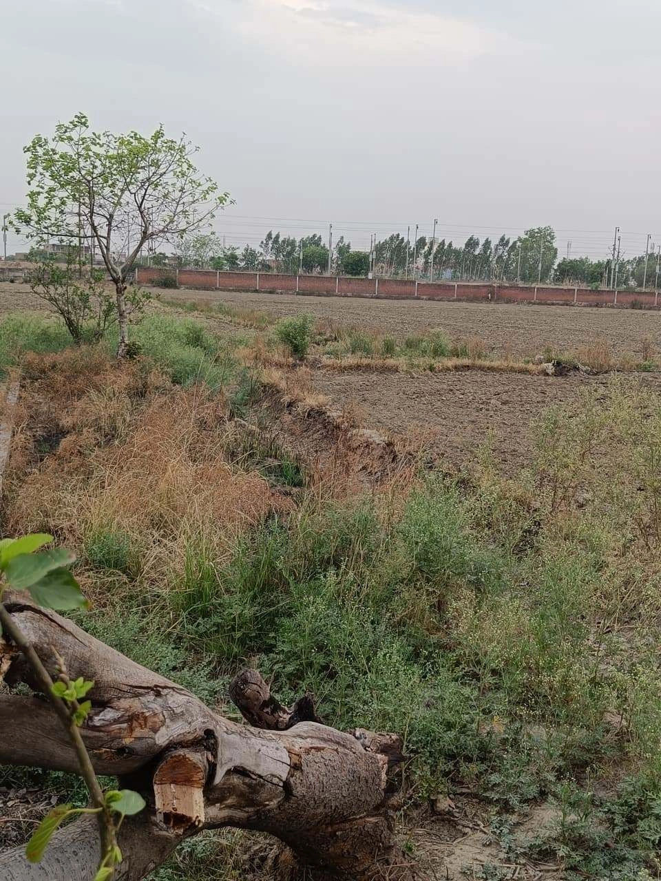 Chandauri, Uttar Pradesh, India