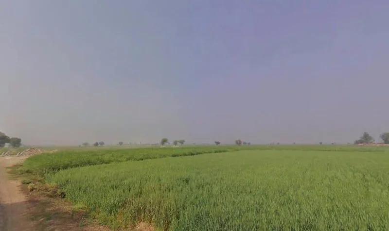 Niwali, Rajasthan 301026, India preview 3