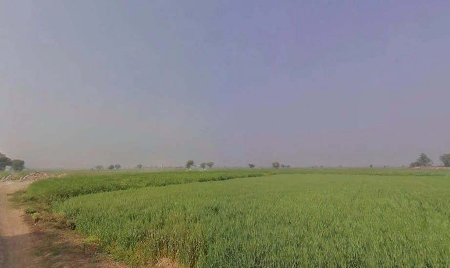 Niwali, Rajasthan 301026, India