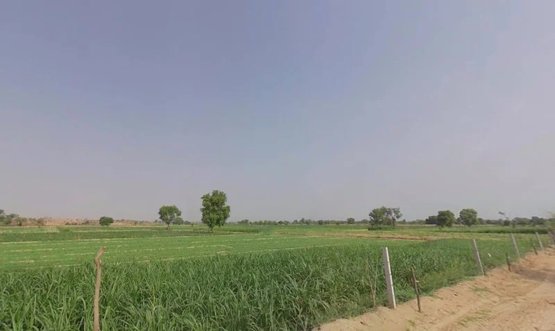 Thethar, Rajasthan, India preview 2