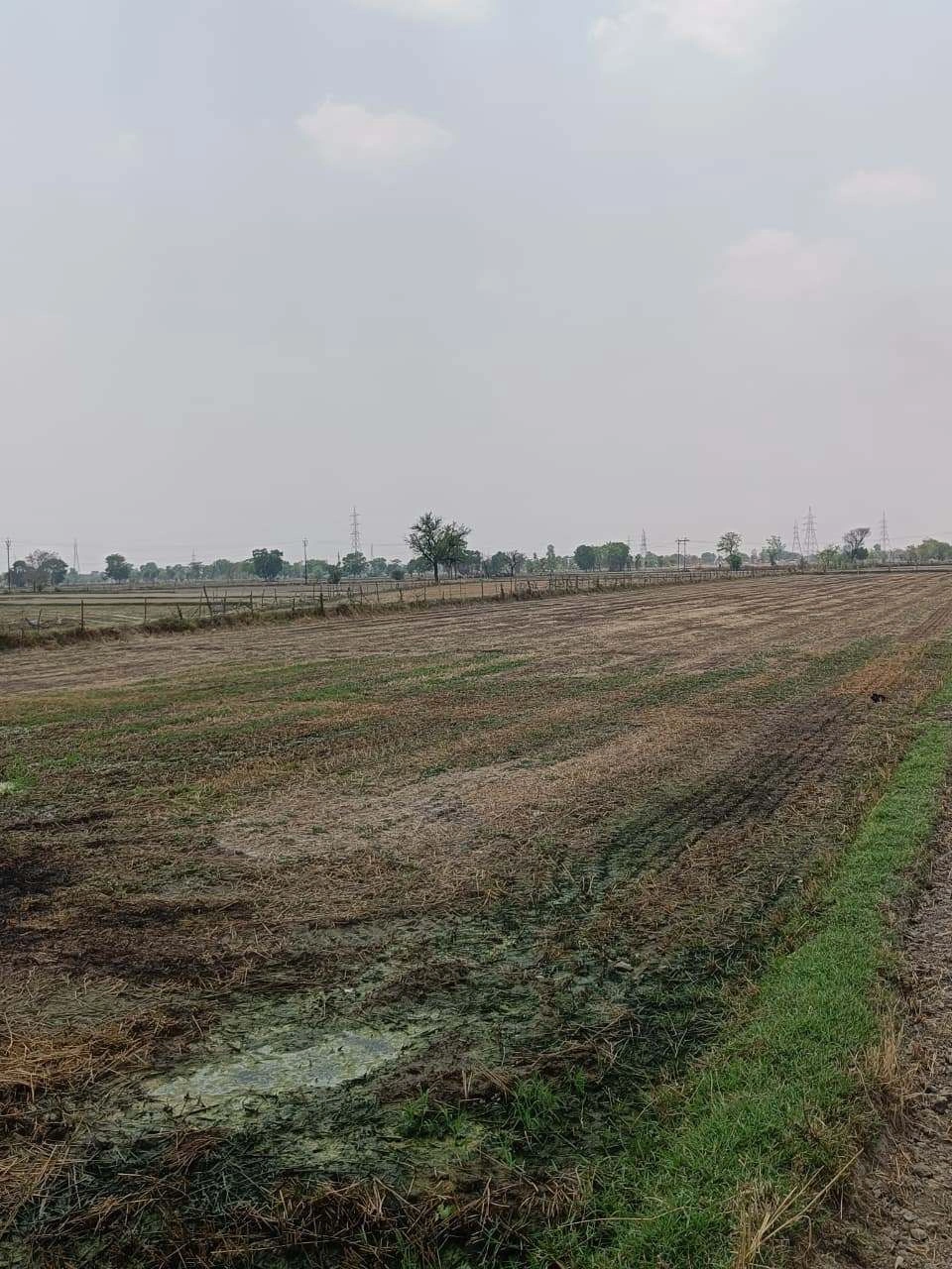 Gharwari, Rajasthan 321201, India
