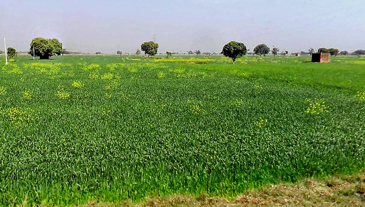 Gora, Madhya Pradesh 475685, India