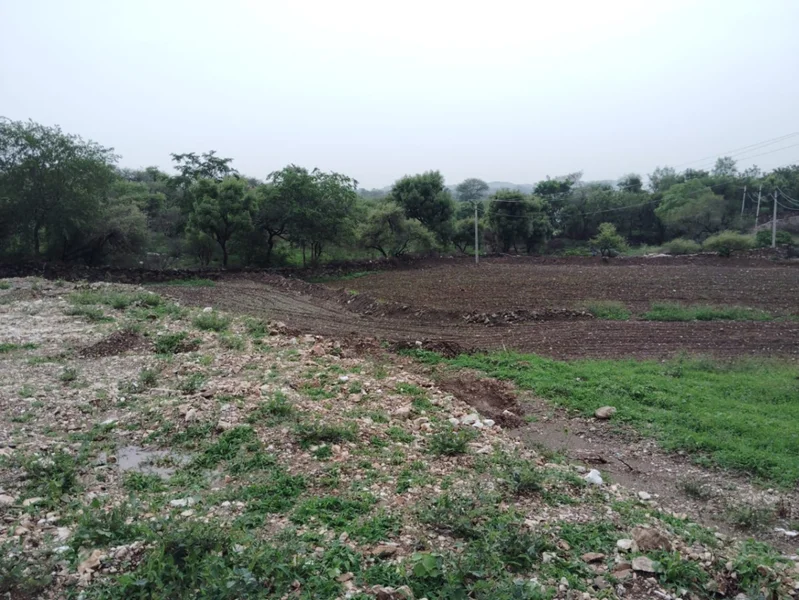 203, Junaguda, Delwara, Peepalwas, Rajasthan 313202, India preview 4