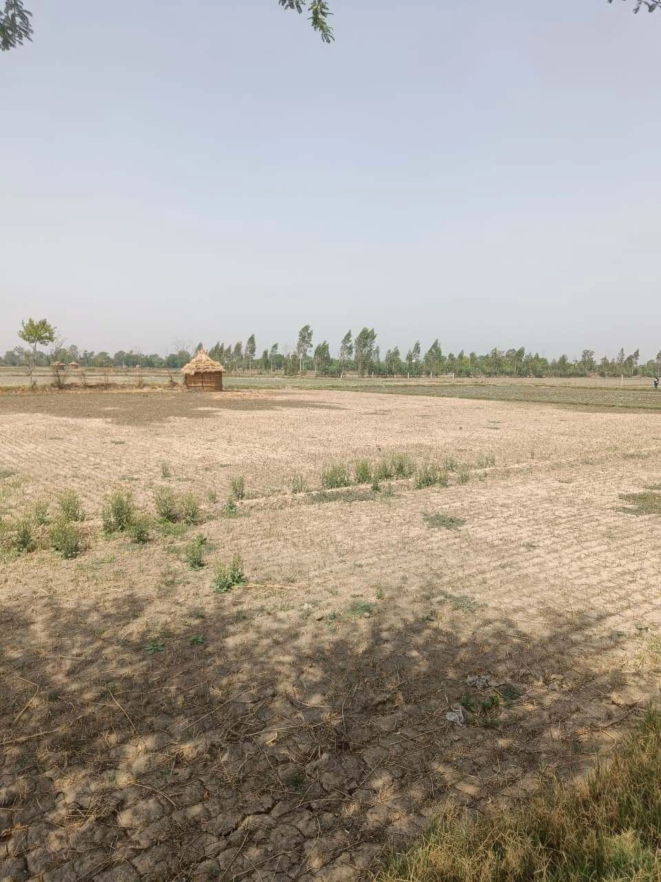 Aou, Rajasthan, India preview 2