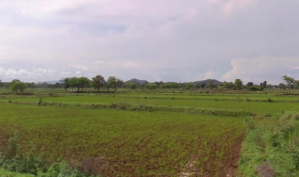 Ganiyari, Chhattisgarh 495112, India