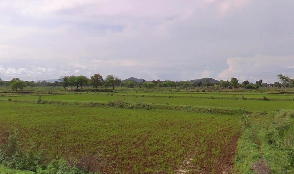 Ganiyari, Chhattisgarh 495112, India