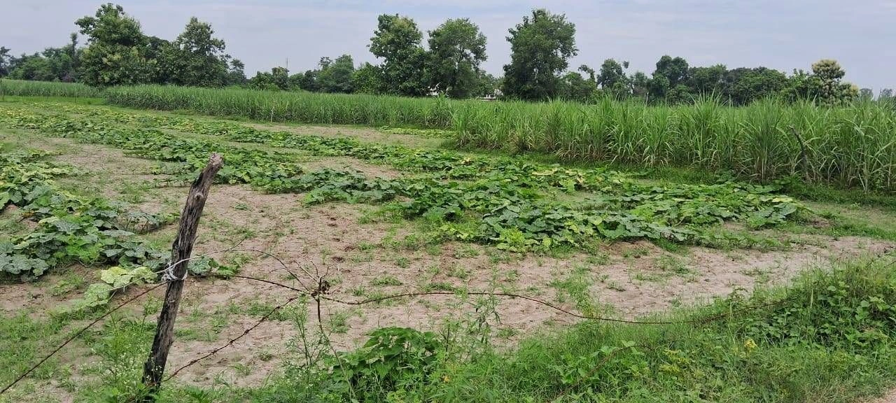 P7V5+JH Sita Rampur, Ayodhya, Uttar Pradesh, India