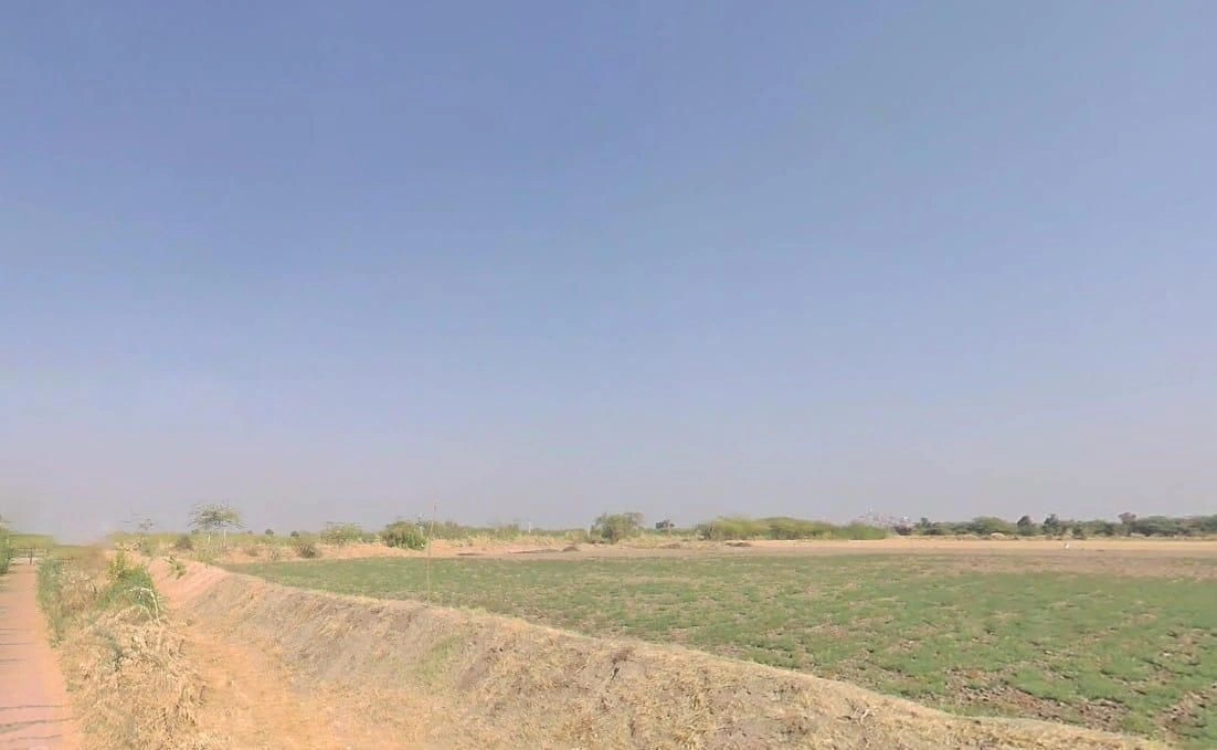 V5WM+QPQ, Bandai Rd, Bandai, Rajasthan 306421, India