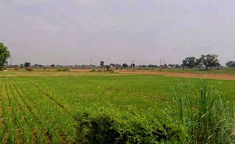 Rampura - Raithal Rd, Raghunathpura, Rajasthan, India preview 2