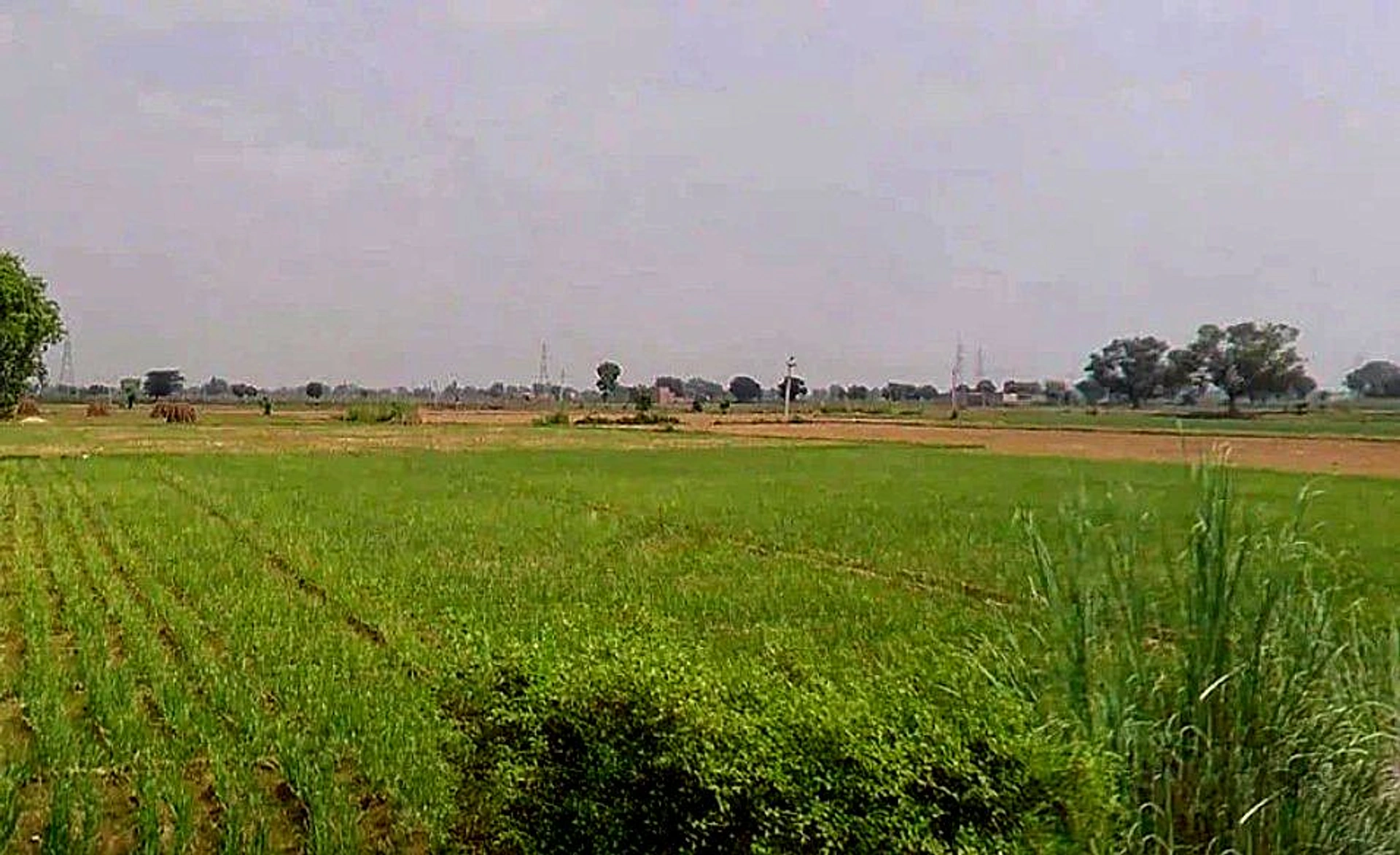 Rampura - Raithal Rd, Raghunathpura, Rajasthan, India