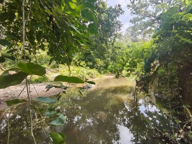 Q5WJ+M6H, Pulpally, Kerala 673579, India