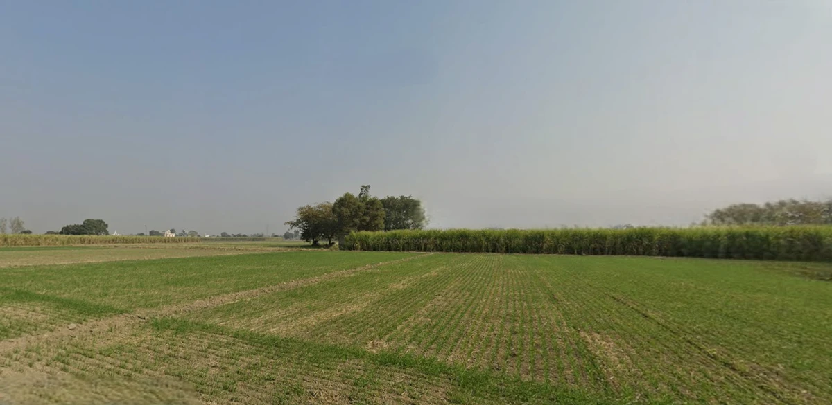 Bhabiana, Punjab 144407, India