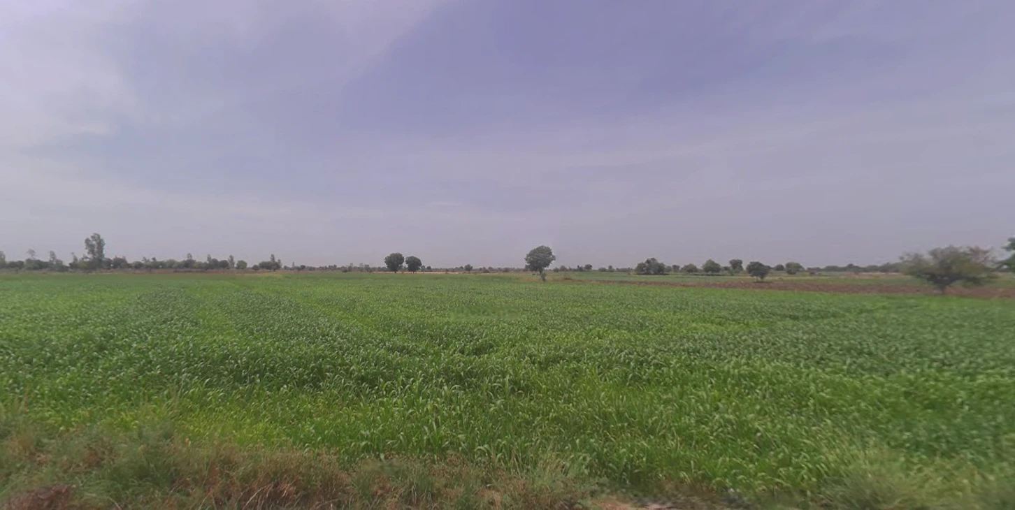 Devrukh, Maharashtra 415804, India