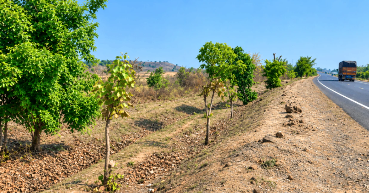 Safedabad, Barabanki, Uttar Pradesh, India