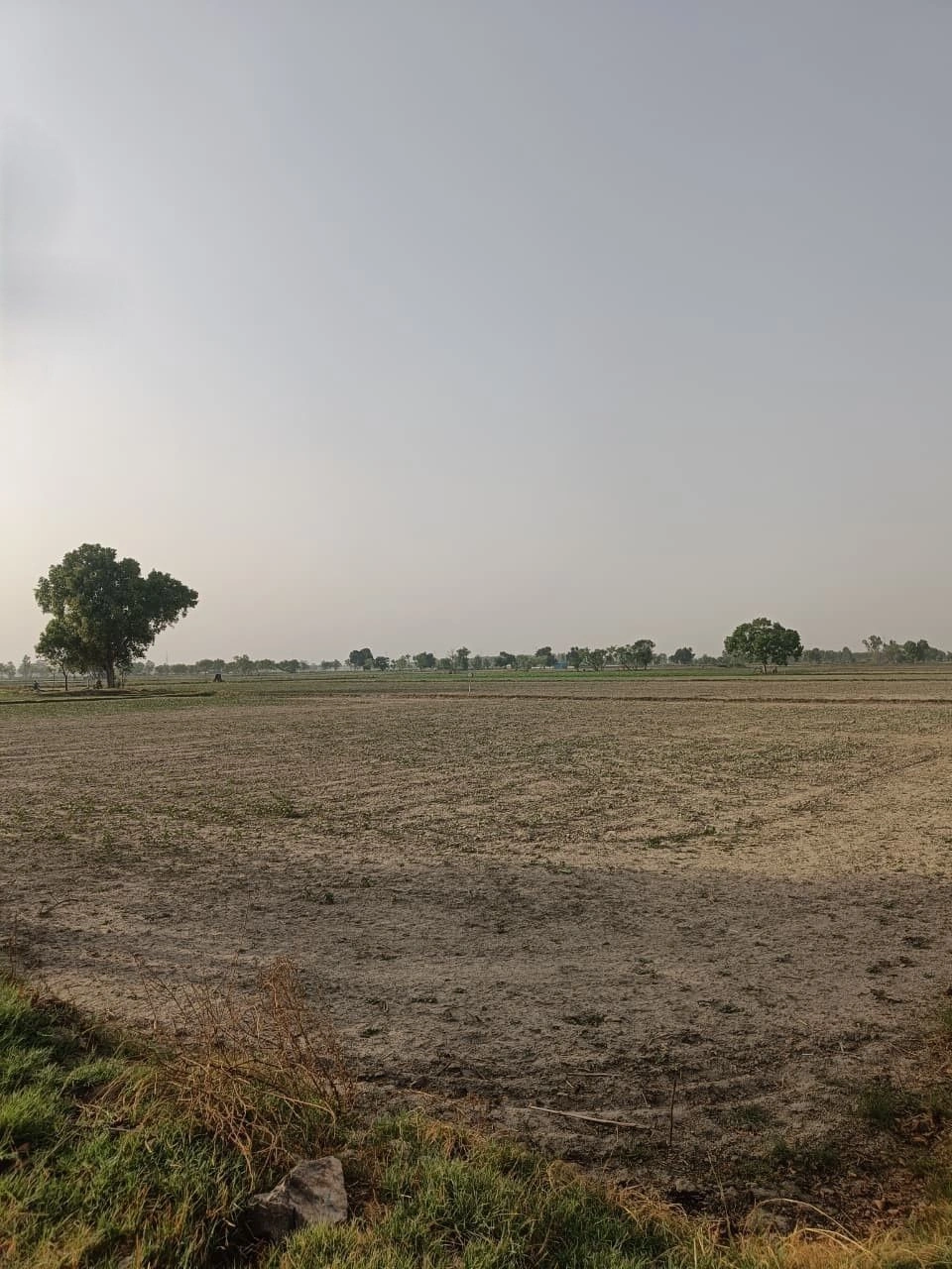 Chohtan, Rajasthan 344702, India