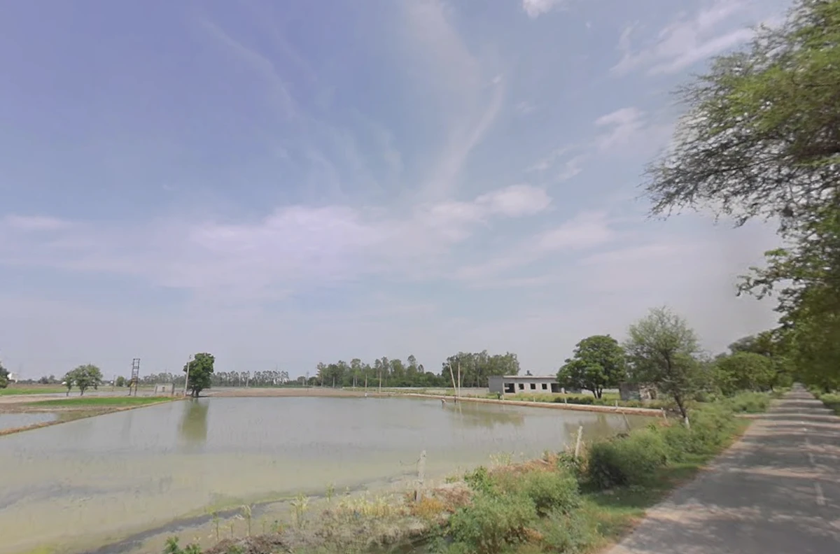 Kaithal, Haryana 136027, India