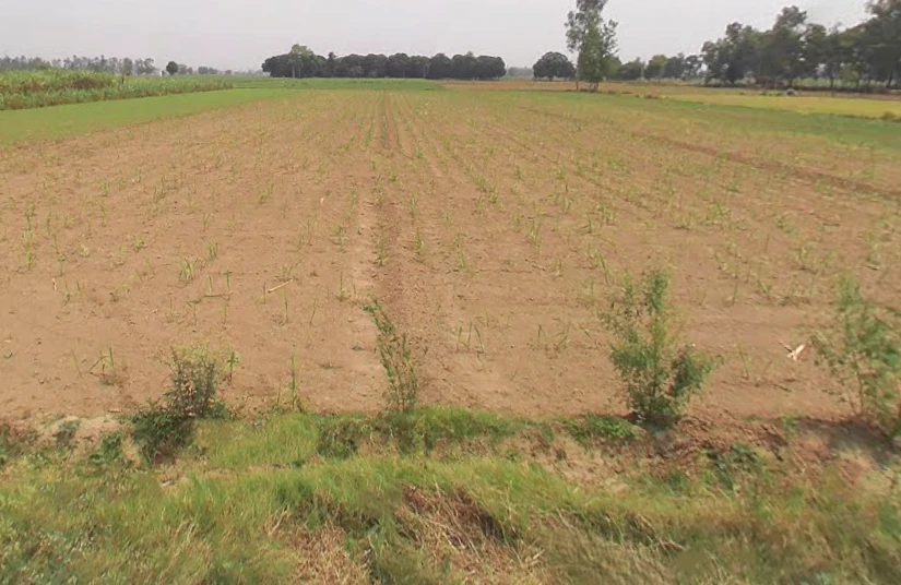 Kithaur, Uttar Pradesh 250104, India