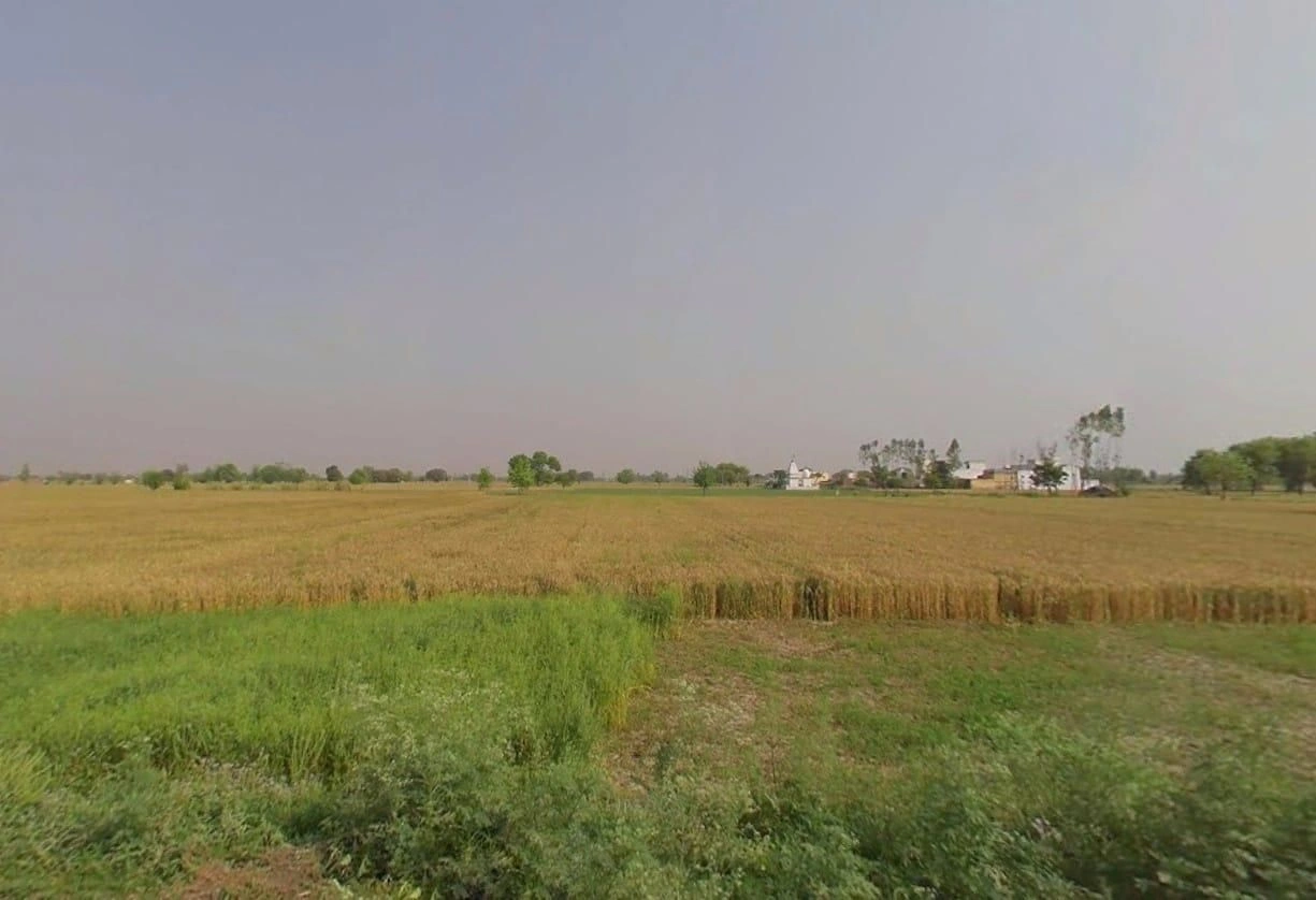 JMM2+CCF, Dhaulana, Uttar Pradesh 245301, India preview 3