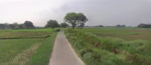 Saharanpur, Uttar Pradesh, India preview 3