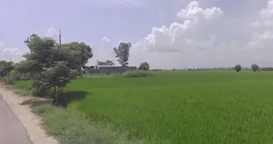 Moga, Punjab, India preview 2