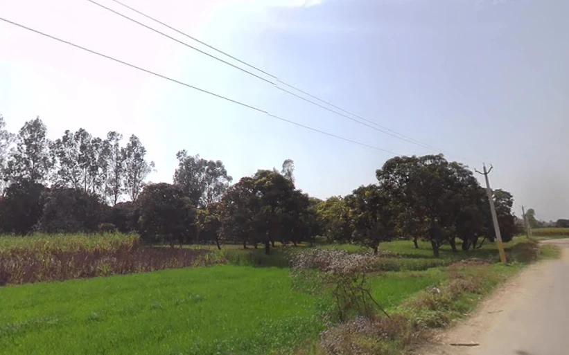 Phalauda, Uttar Pradesh 250401, India