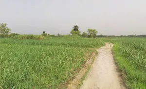Makhdumpur, Uttar Pradesh, India preview 2