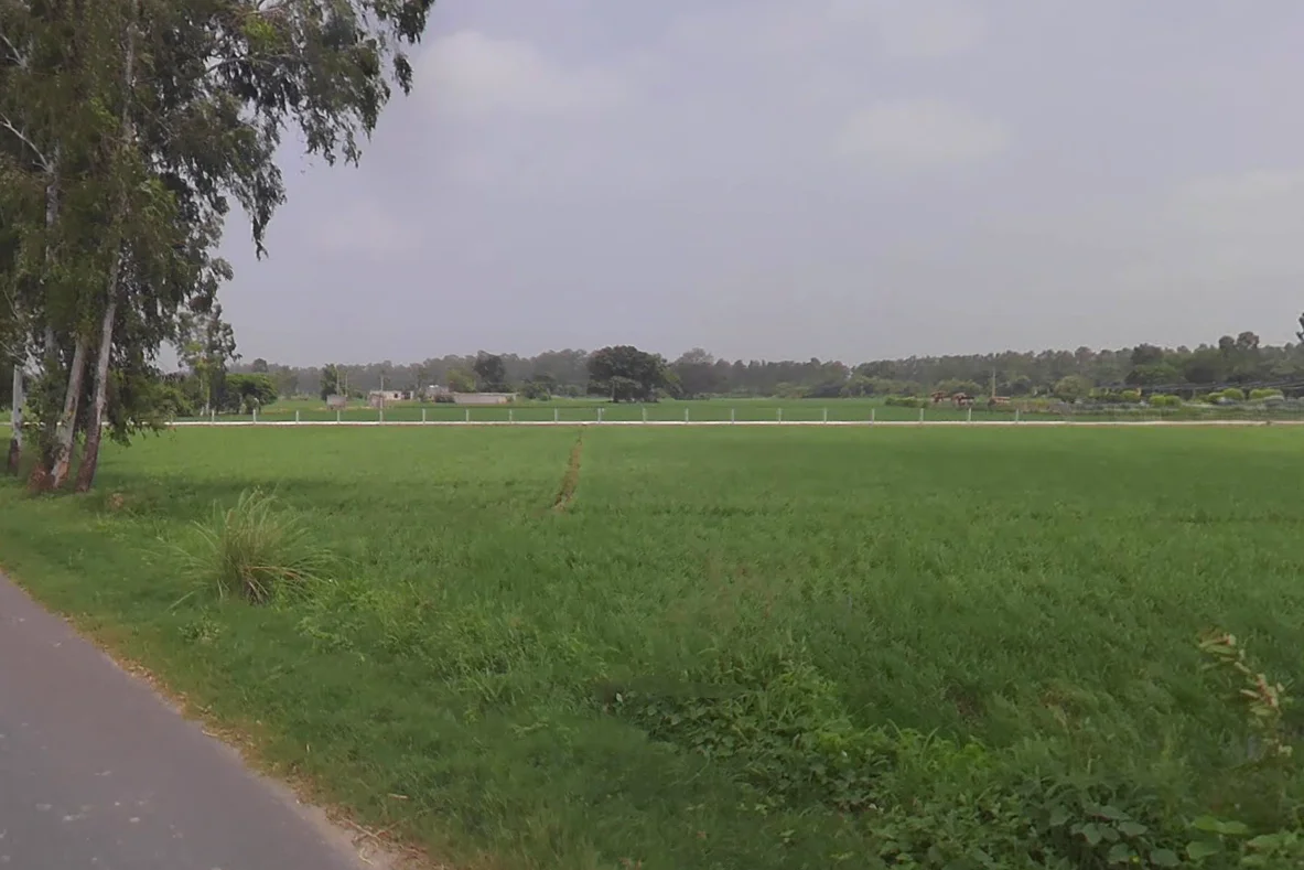 Nigdhu, Haryana 132157, India preview 3