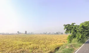 Ellenabad, Sirsa, Haryana 125055, India preview 3