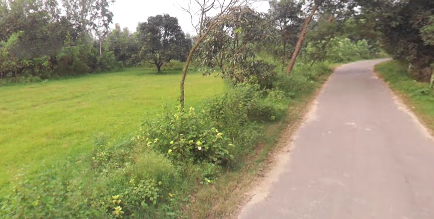 Behat, Uttar Pradesh 247121, India