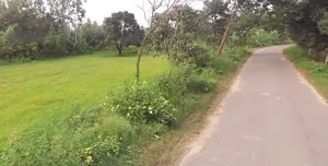 Behat, Uttar Pradesh 247121, India preview 2