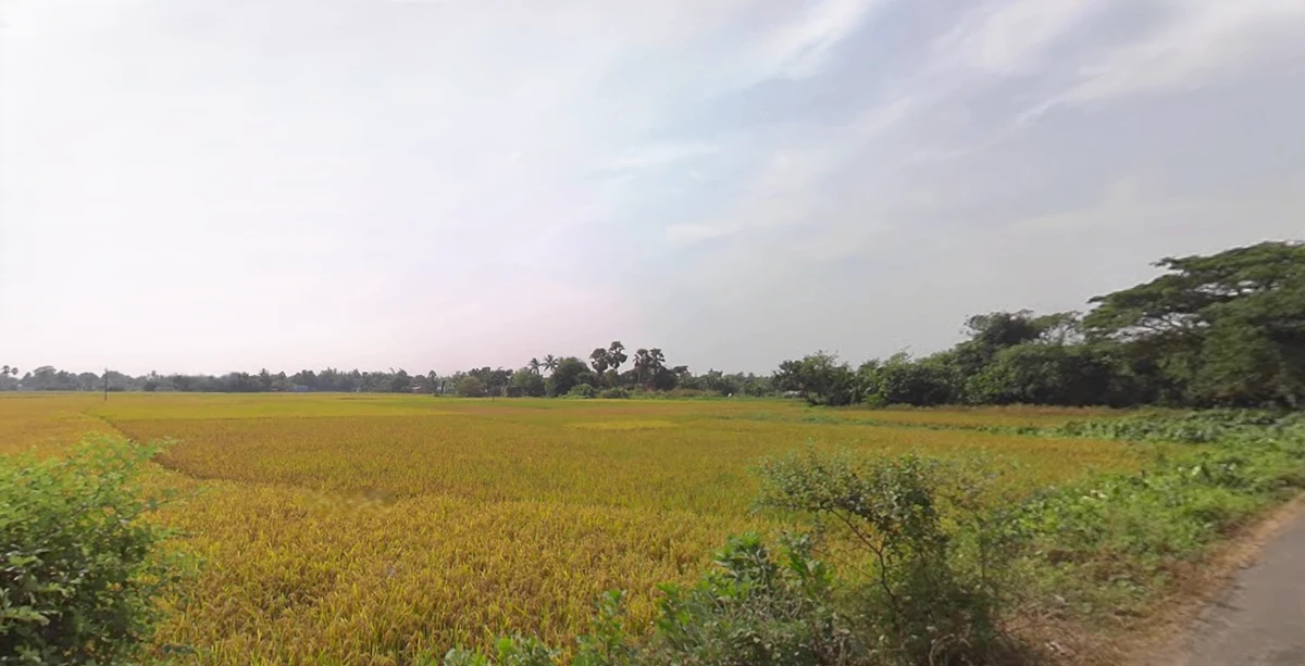 Tarkeshwar, West Bengal 712410, India