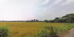 Tarkeshwar, West Bengal 712410, India preview 3