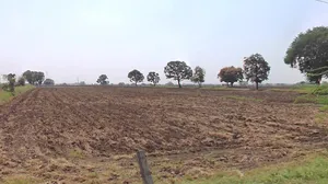 Bolai, Madhya Pradesh 465220, India preview 3
