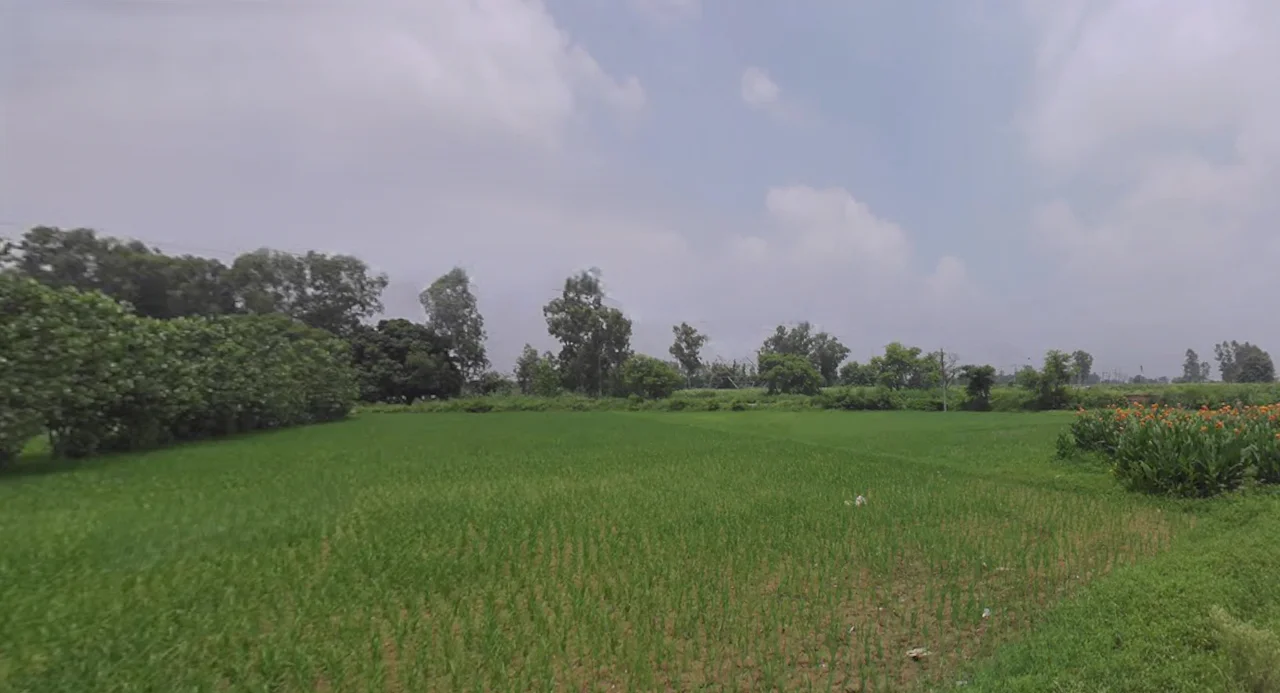 Bhagwanpur, Uttarakhand 247661, India preview 2