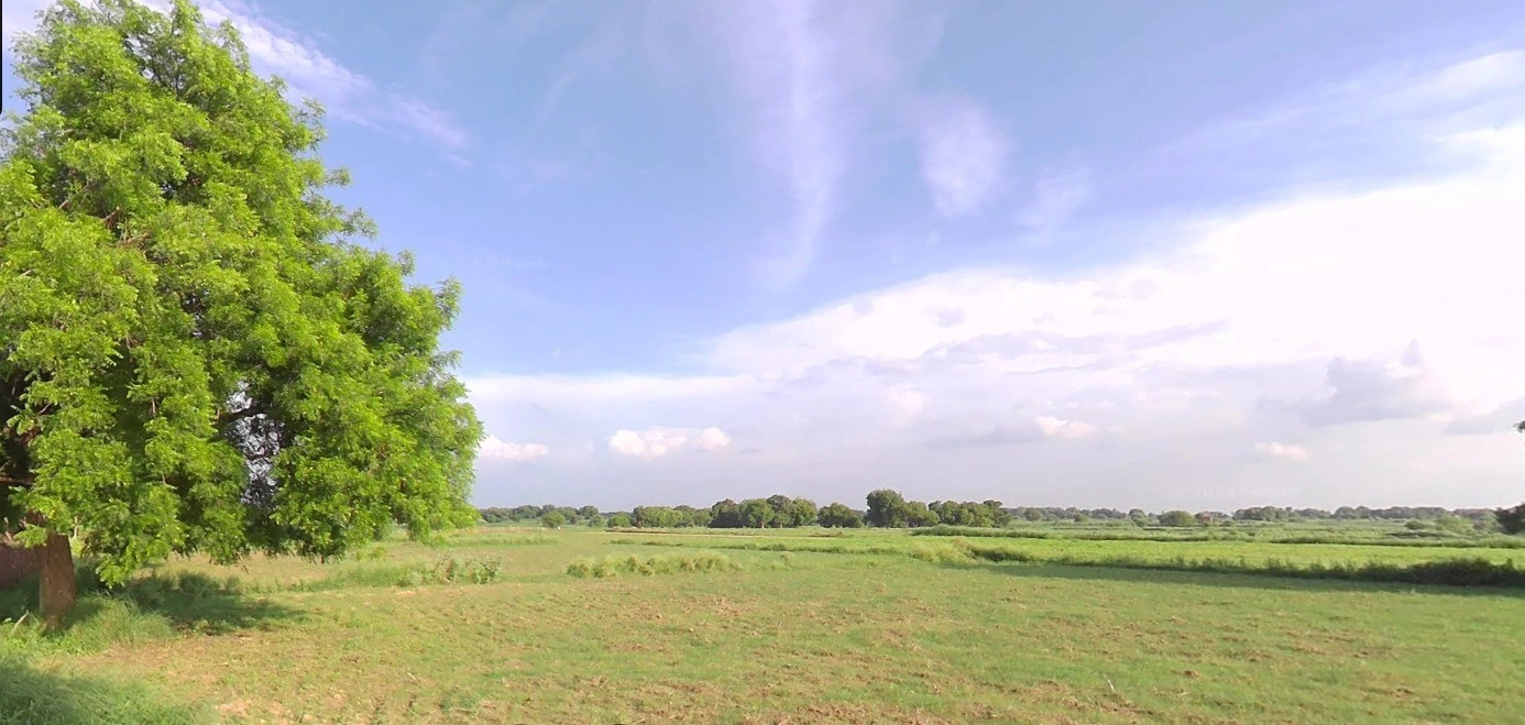 Deora Khedi, Madhya Pradesh 453115, India